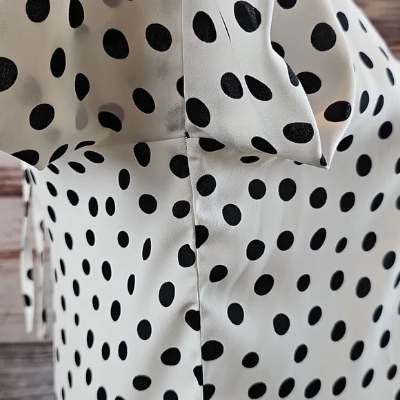 C Black and White Polka Dot Blouse - Picture 9 of 13